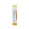 STRAMONIUM GRANULO 15CH BOIRON