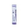 SYMPHYTUM OFFICIN GRANULO 30CH BOIRON
