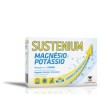 Sustenium Magnésio e Potássio x 14
